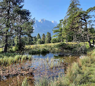 Wandern Kochelbergalm - Aulealm
