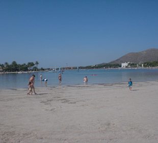 Alcudia