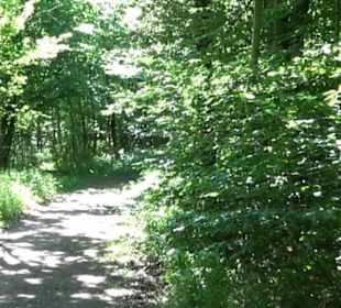 Wanderweg Sieben-Täler-Runde 