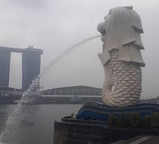 Merlion MBS