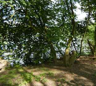Naturschutzgebiet Boberger Niederung