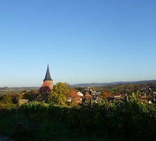 Aussicht von der Burgruine Weibertreu