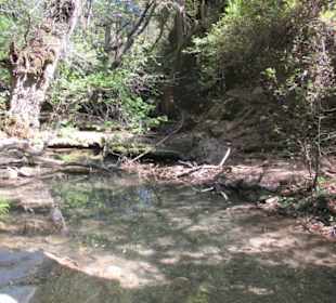 Trockenzeit, wenig Wasser, kleiner Fall