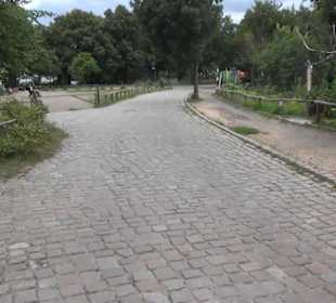 Fähre zur Pfaueninsel