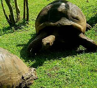 La Vallee des Couleurs Nature Park