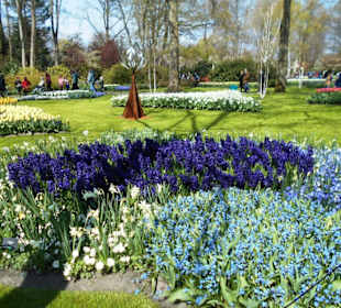 Blumenpracht im Keukenhof