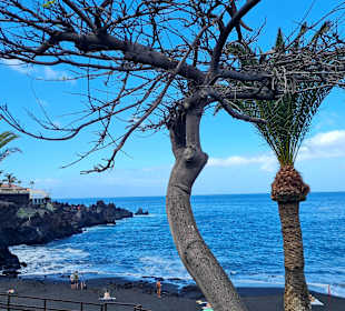 Strand Playa de la Arena