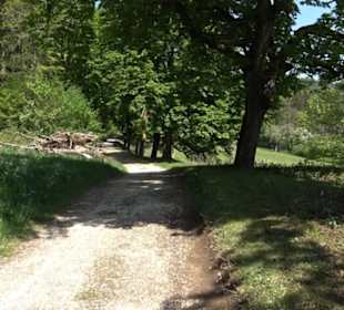 Premiumwanderweg Hochgehschätzt