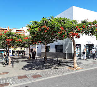 Stadtrundgang Jandia / Playa de Jandia