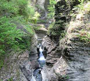 Watkins Glen