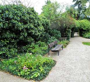 Eindrücke aus dem herbstlichen Rosengarten