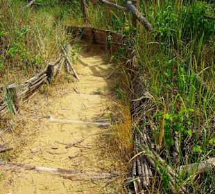 FKK-Bereich nach dem Leuchtturm Richtung Lignano am Wald