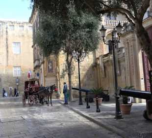 Naturhistorisches Museum
