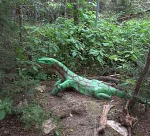 Dinosaurier Museum Altmühltal