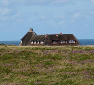 Wandern Gemeinde Sylt [Sylt]