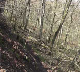 Wanderweg Hochgehkämpft