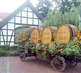 Großer Spreewaldhafen Lübbenau in Lübbenau