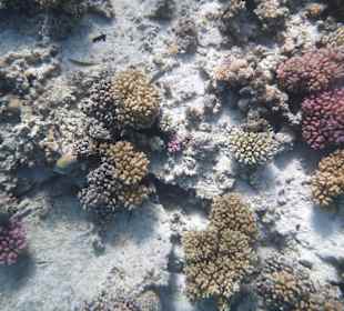 Ausflug mit SimSim Reisen