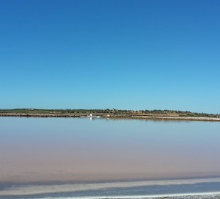Vogelschutzgebiet Saline