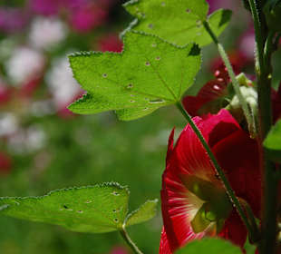 Muzeum Wsi Lubelskiej