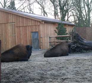 Tierpark Nordnorn