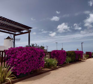 Strandpromenade San Antonio/San Antoni de Portmany