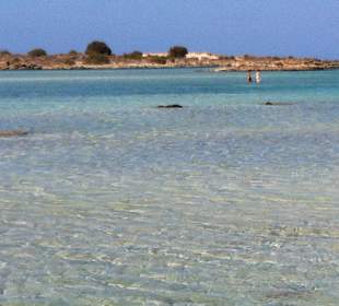 Wassertieve ca. 40-60 cm