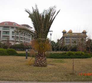 Hotel Aydinbey Kings Palace