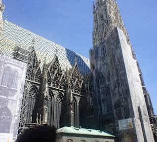 Katedra św. Szczepana