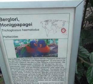 Tropicarium - Feuchte Tropen