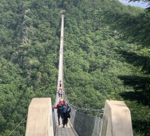 Hängeseilbrücke Geierlay