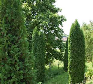 Muzeum Wsi Lubelskiej