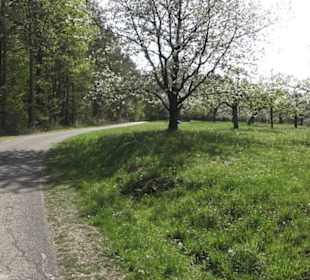 Wanderweg Firstwaldrunde