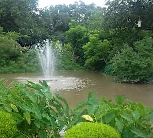 Der Teich im Garten