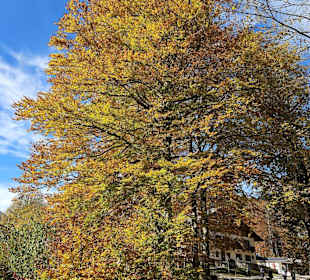Gebührenpflichtiger Parkplatz
