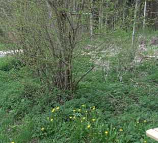 Wanderweg Kunst der kleinen Schritte