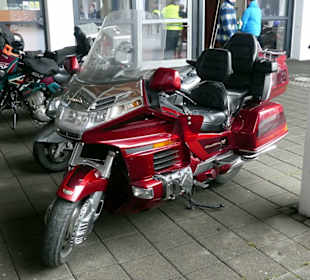 Goldwing auf dem Eisbärenparkplatz