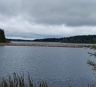 Talsperre Muldenberg