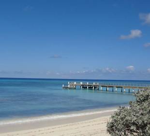 Im Bereich des National Parks