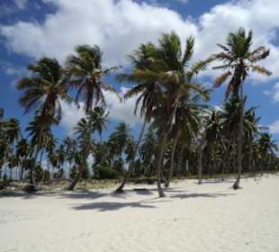 Insel Saona