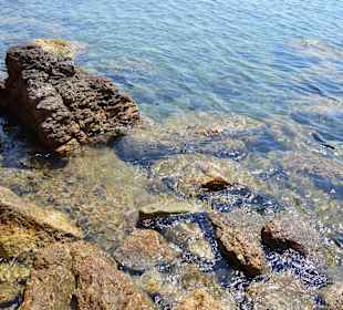 Cast.d.Pesc. Wasserqualität 1a