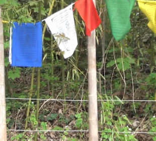 Eurasienbereich - Gebetsfahnen