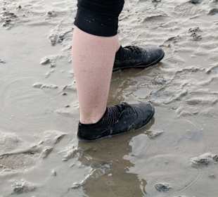 Wattenmeer