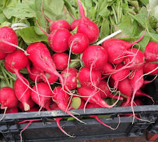 Eindrücke vom Wochenmarkt Nuoro