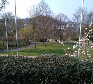 Im Stadtpark