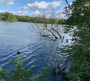 Wandern Braunschweig