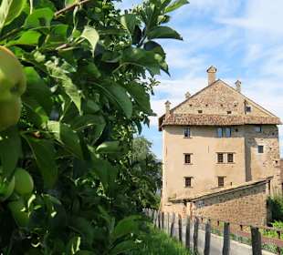 Schloss Moos-Schulthaus
