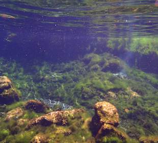 2. Offene Cenote