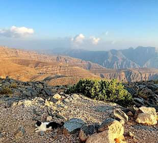 Ausflug Jebel Harim