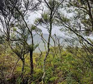 Orakei Korako Geothermal Park & Cave
